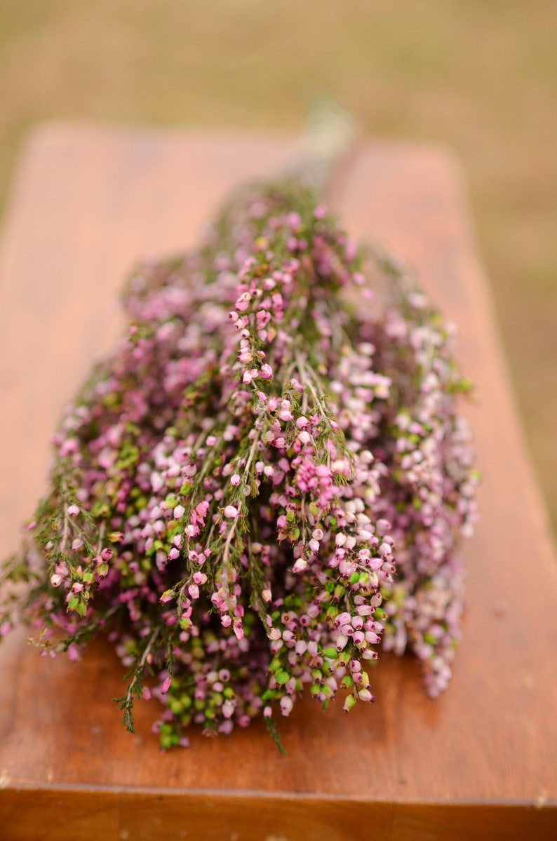 Bukett konserverad rosa ljung, rosa ljung, rosa bröllopsblommor, vårbröllopsblommor, skotska blommor, skotska bröllopsblommor bild 5