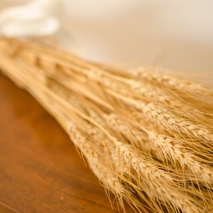 May include: A bunch of dried wheat stalks tied with a white ribbon, lying on a dark brown wooden surface. The wheat is a golden-yellow colour, and the image has a warm, natural aesthetic. Suitable for home decoration.