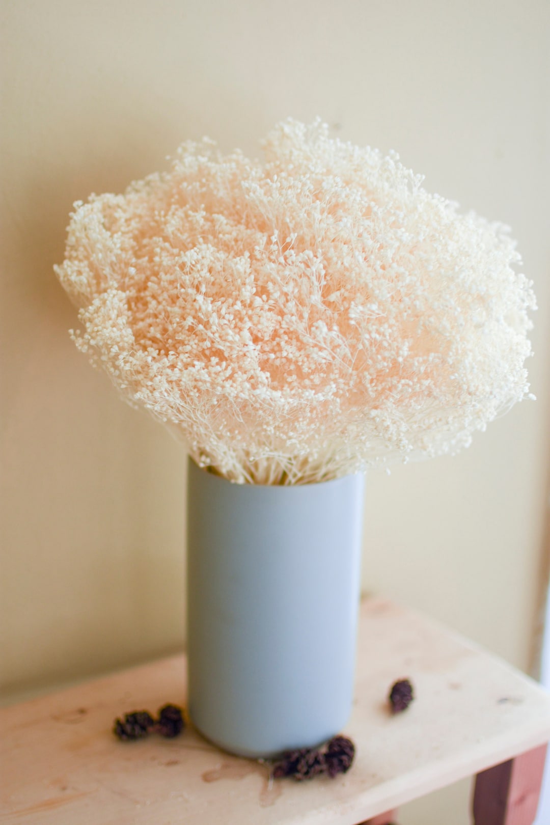 Bleached Broom Bloom, Bleached Flowers, Wedding Flowers, Filler, Dried
