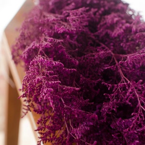 Magenta Preserved Misty Caspia: Fall Wedding Floral Decor