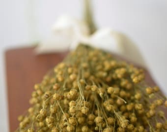 Bouquet de lin séché naturel, grains séchés, cosses séchées, fleurs naturelles, grains naturels, mariage rustique, grains pour mariage