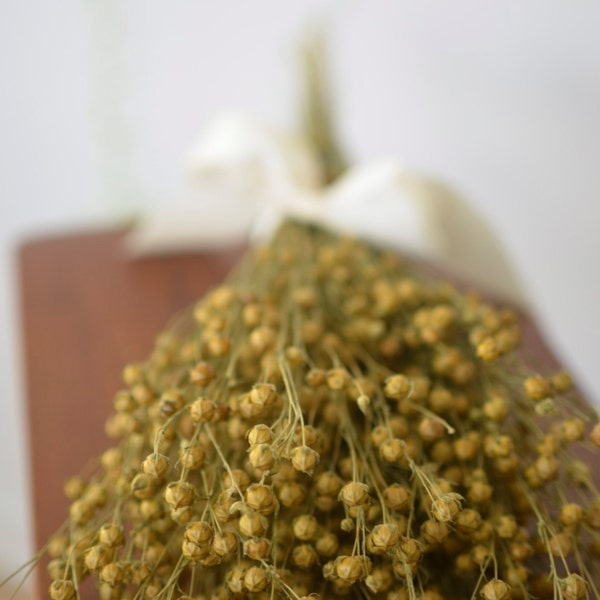 Natural Dried Flax Bunch, dried grains, dried pods, natural florals, natural grains, rustic wedding, grains for wedding