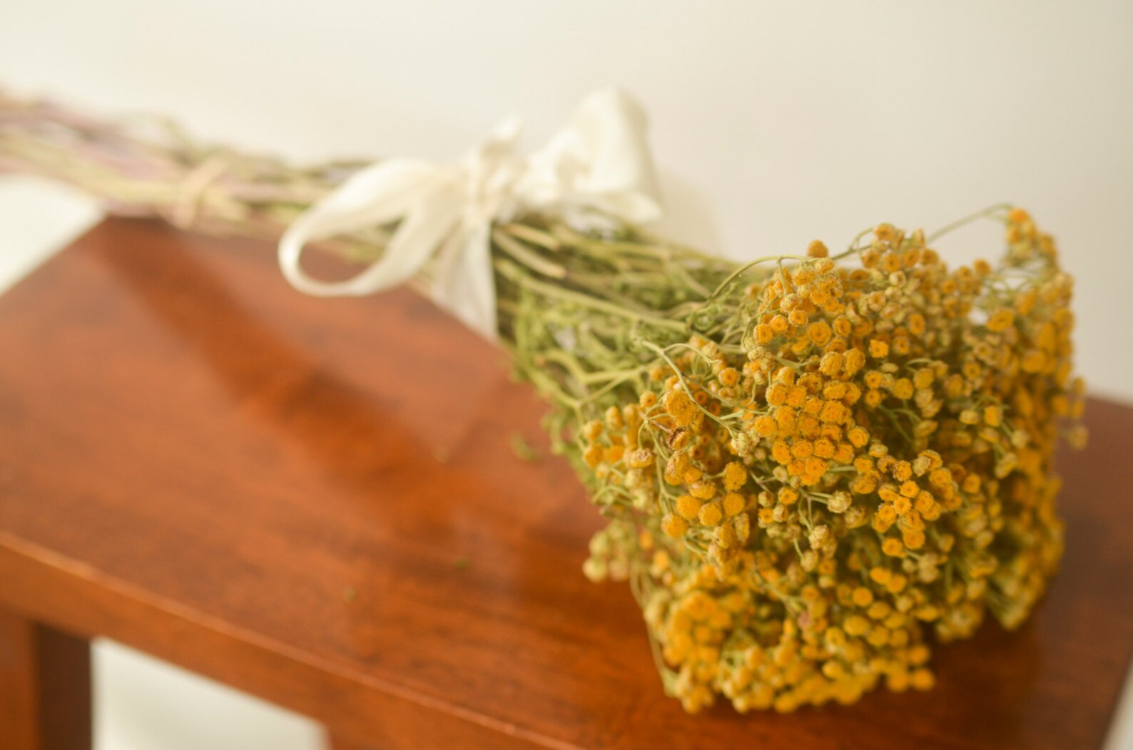 Dried Tansy, Small Yellow Flower, Yellow Dried Flowers, Yellow Tansy