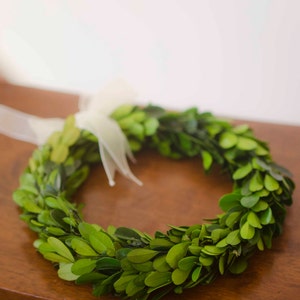 Preserved Mini Boxwood Wreath, Simple Spring Wreath, Spring wreath, boxwood wreath, small boxwood wreath image 4