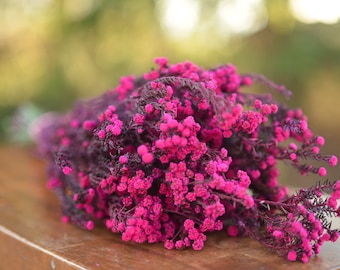 Bunch of preserved raspberry pink phylica,  preserved dark pink flowers, small pink dried flowers, pink wedding flowers, fuschia flowers