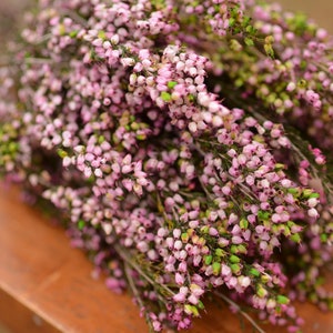 Bukett konserverad rosa ljung, rosa ljung, rosa bröllopsblommor, vårbröllopsblommor, skotska blommor, skotska bröllopsblommor bild 7