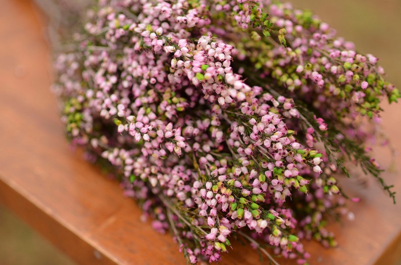 Bukett konserverad rosa ljung, rosa ljung, rosa bröllopsblommor, vårbröllopsblommor, skotska blommor, skotska bröllopsblommor bild 7