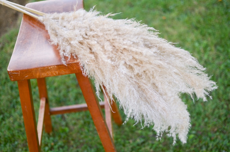 May include: A single, long, fluffy, dried pampas grass plume in a light beige color, resting on a wooden stool. The grass is arranged in a fan shape, with the tips of the plumes extending beyond the edge of the stool.