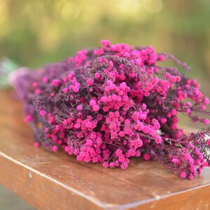 Bunch of preserved raspberry pink phylica, preserved dark pink flowers, small pink dried flowers, pink wedding flowers, fuschia flowers image 5