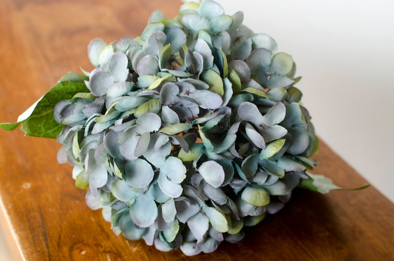 May include: A close-up of a bouquet of blue and green hydrangea flowers. The flowers are clustered together, with a mix of blue, green, and gray petals. The bouquet is sitting on a wooden surface.
