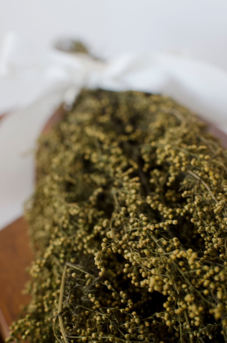 Bunch of dried sweet annie sweet scented dried flower sweet Etsy