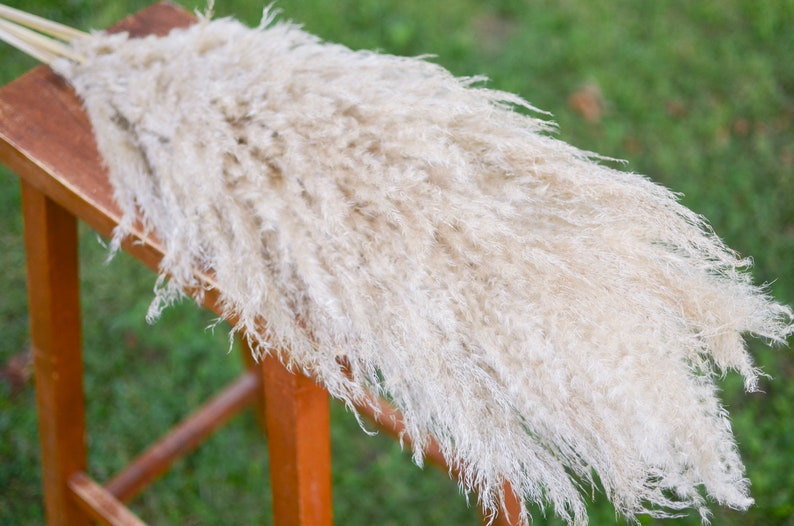 May include: A bunch of dried pampas grass with long, feathery plumes in a light beige color. The grass is arranged on a wooden stool.