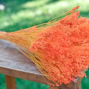 Vibrant Orange Dried Baby&#39;s Breath: Fall Halloween Decor