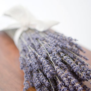 Dried English lavender, fragrant lavender, lavender bouquet, smudge lavender, smudging lavender, smudge herb, lavender stems, purple wedding image 1