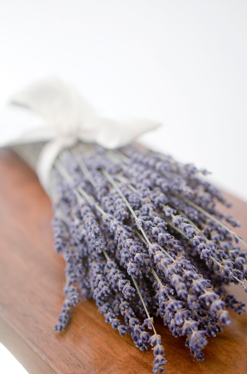 Dried English lavender, fragrant lavender, lavender bouquet, smudge lavender, smudging lavender, smudge herb, lavender stems, purple wedding image 1