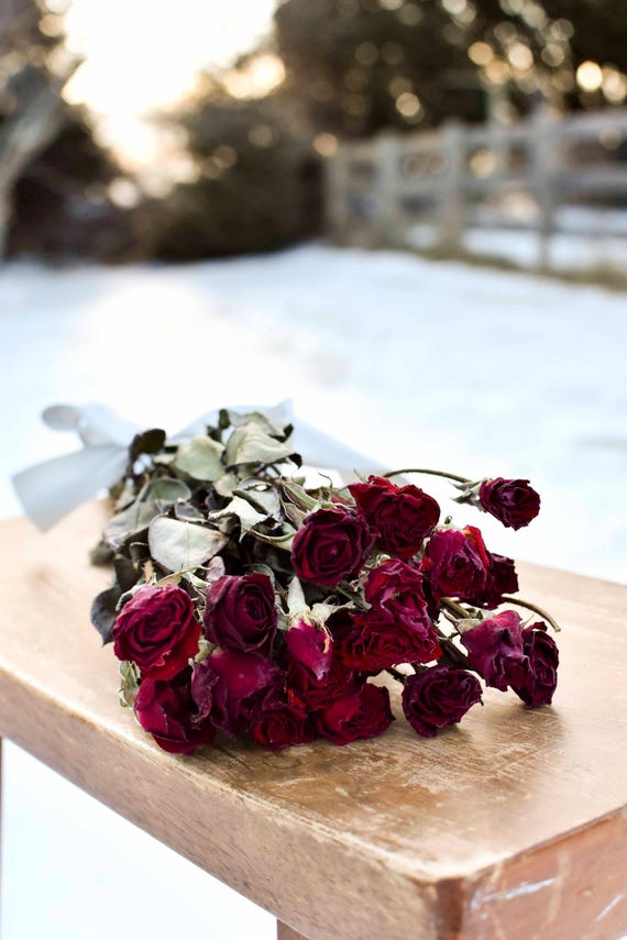 Getrocknete Mini burgunderrote Rosen - Für Vase, Arrangements, Kränze - 2 Unzen Bündel, 16-20