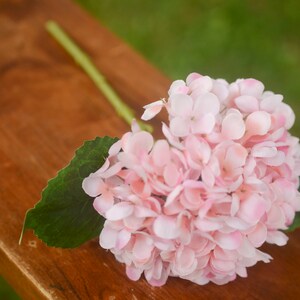 Light Pink silk hydrangea, pink hydrangea, spring flowers, silk hydrangeas, artificial hydrangeas, faux hydrangeas image 4