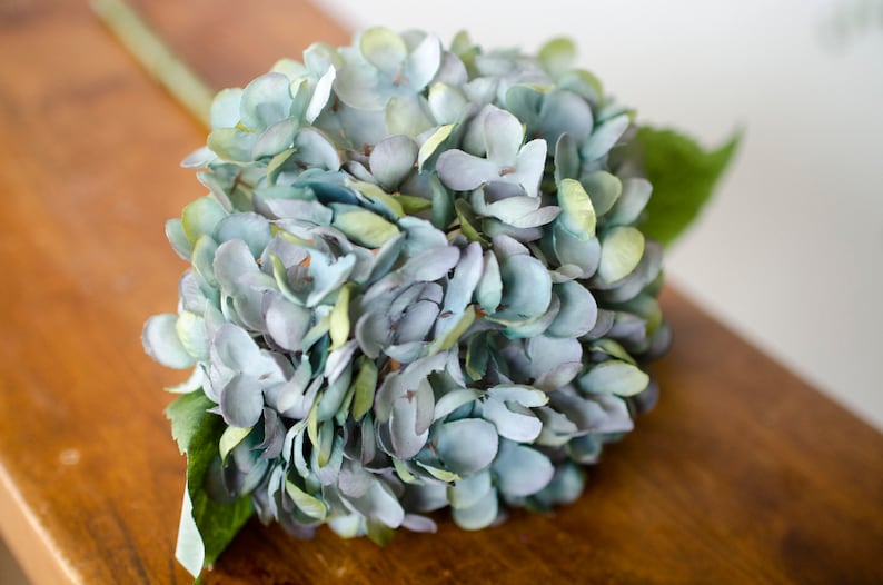 May include: A close-up of a blue and green hydrangea flower. The flower has many petals and is on a stem with green leaves. The flower is sitting on a wooden surface.
