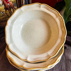 Vintage Mikasas Garden Club Soup Bowls Set of 3