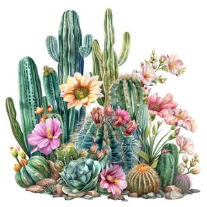 Watercolor Cactus Flower Clipart: Desert Bloom Art (Digital Download)