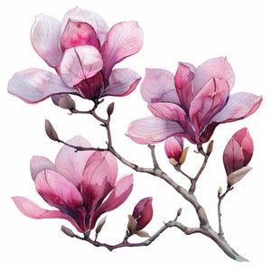16 Magnolia Flower Clipart, Watercolor Colorful Floral Clip Art, Printable High Quality JPGs, Digital download, Paper craft, Junk journals