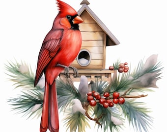 16 imágenes prediseñadas de pájaro cardenal navideño, imágenes prediseñadas de casa de pájaros en acuarela, archivos JPG imprimibles de alta calidad, descarga digital, manualidades de papel, diarios basura