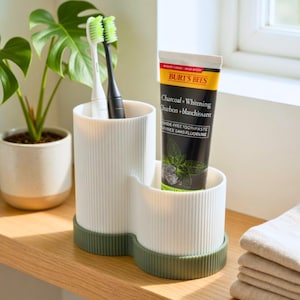 May include: A white and green toothbrush holder with two toothbrushes and a tube of Burt's Bees charcoal toothpaste. The holder has a ribbed design and a green base. A houseplant is in the background.