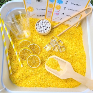 Lemonade Stand Sensory Bin - Lemonade - Sensory Play - Sensory Kit - Birthday - Toddler Play - Summer Sensory Kit - Pretend Play