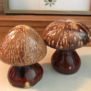 Op de afbeelding: Twee keramische paddenstoelbeeldjes. De paddenstoelkapjes zijn bruin met lichtere bruine strepen en de stelen zijn glanzend donkerbruin. De beeldjes worden op een licht oppervlak getoond.
