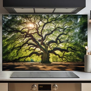 May include: A kitchen backsplash featuring a large, green tree with spreading branches. The tree is backlit by the sun, creating a warm glow. The backsplash is installed above a stainless steel cooker with a black glass hob.
