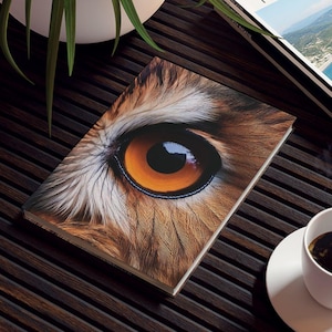 Tawny Owl Eye Journal, Owl Sketchbook, Rustic Bird Notebook, Wildlife Theme Diary, Nature Lover Gift, Owl Stationery Set