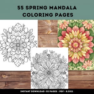 Mandala da colorare - Mandala primaverili da colorare - Bellissimi mandala da colorare - Disegni di mandala rilassanti da stampare in PDF - Sollievo dallo stress