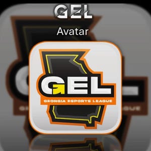 May include: A square logo featuring the text GEL and Georgia Esports League in white and orange on a black silhouette of the state of Georgia. The design is set against a light gray background with a rounded border and a subtle reflection below.