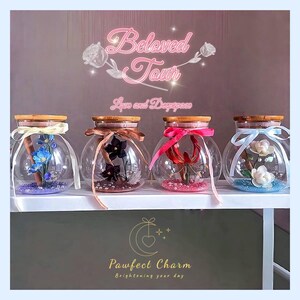May include: Four glass jars with wooden lids, each containing decorative flowers and colorful accents. The jars are tied with ribbons in various colors, including pink, brown, and white. The text "Beloved Tour" and "Love and Daydream" are displayed above the jars.