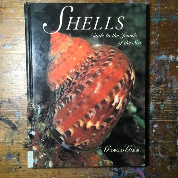 Book Of Shells - 
