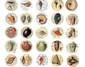 collage sheet vintage sea shells on ephemera digital collage sheet 1 inch circles clipart download pendant jewelry making printables