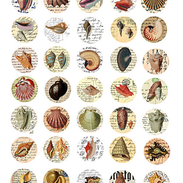 collage sheet vintage sea shells on old ephemera digital collage sheet 1 inch circles clipart download pendant jewelry making printables