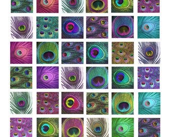 printable digital collage sheet peacock feather patterns clipart 1 inch squares downloadable images pendants diy crafts jewelry scrapbooking