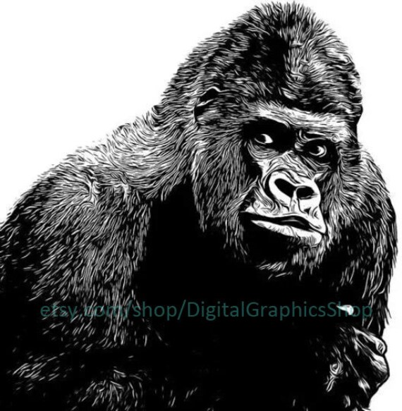 Silverback Gorilla Clipart