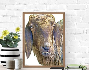 Goofy Silly sheep Face png jpg clipart printable art digital download farm animals digital clip art downloadable graphics images