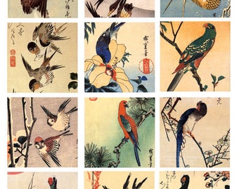 vintage birds trees watercolor paintings digital download collage sheet animal clipart  2.5 inch squares craft printables
