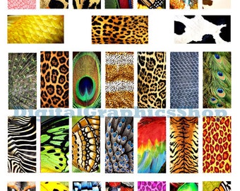 animals skin patterns, insects, textures, clipart, digital print, instant download, collage sheet, 1" x 2" inch dominos, tiger leopard snake