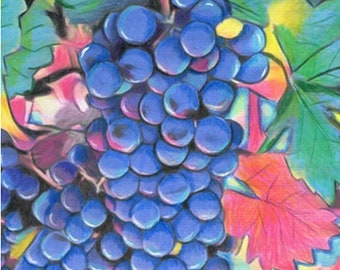 fruit grapes original drawing colored pencils art nature plants home kitchen dining room decor
