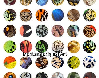 butterfly wing pictures digital download collage sheet 1 inch circles insect bugs clip art pendant printables