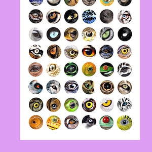May include: A collage sheet of 48 colorful animal eyes, each eye is a 1 inch circle. The eyes are arranged in 6 rows of 8 circles. The sheet is white with a black border. 1 inch circles collage sheet download montanaoriginalart
