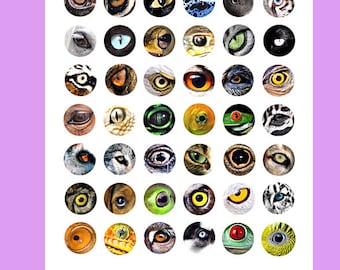 animal eyes, cat, lizard, snakes, collage sheet, 1 inch circles, clipart, digital print, instant download, printable images for jewelry