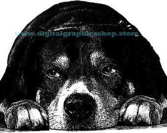 dog laying down png jpg clipart, printable dog art, digital print, instant download, animals, pets, digital stamps, transfer images