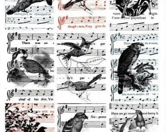vintage ephemera, song birds, sheet music, collage sheet, 2.5" x 3.5" inch, clipart, aceos, tags lables cards instant download, printable