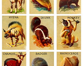 jungle safari forest vintage animal art cards collage sheet digital download 2.5" x 3.5"  aceo wildlife nature graphics printables