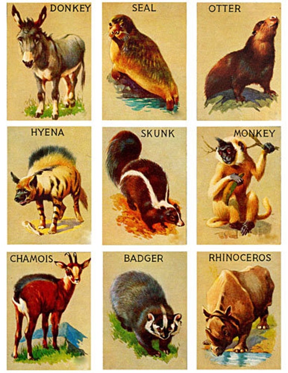 jungle safari forest vintage animal cards collage sheet digital download 2.5" x 3.5" graphics downloadable images printables diy crafts aceo